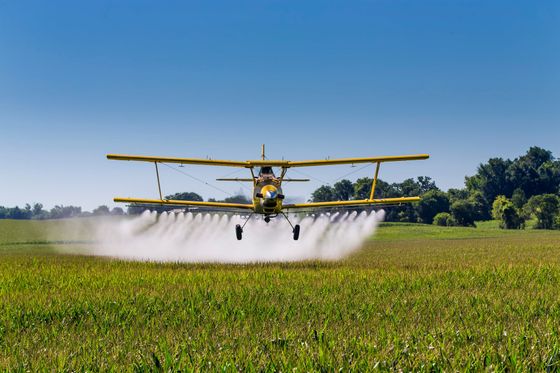 A small plane is spraying chemicals on a road.