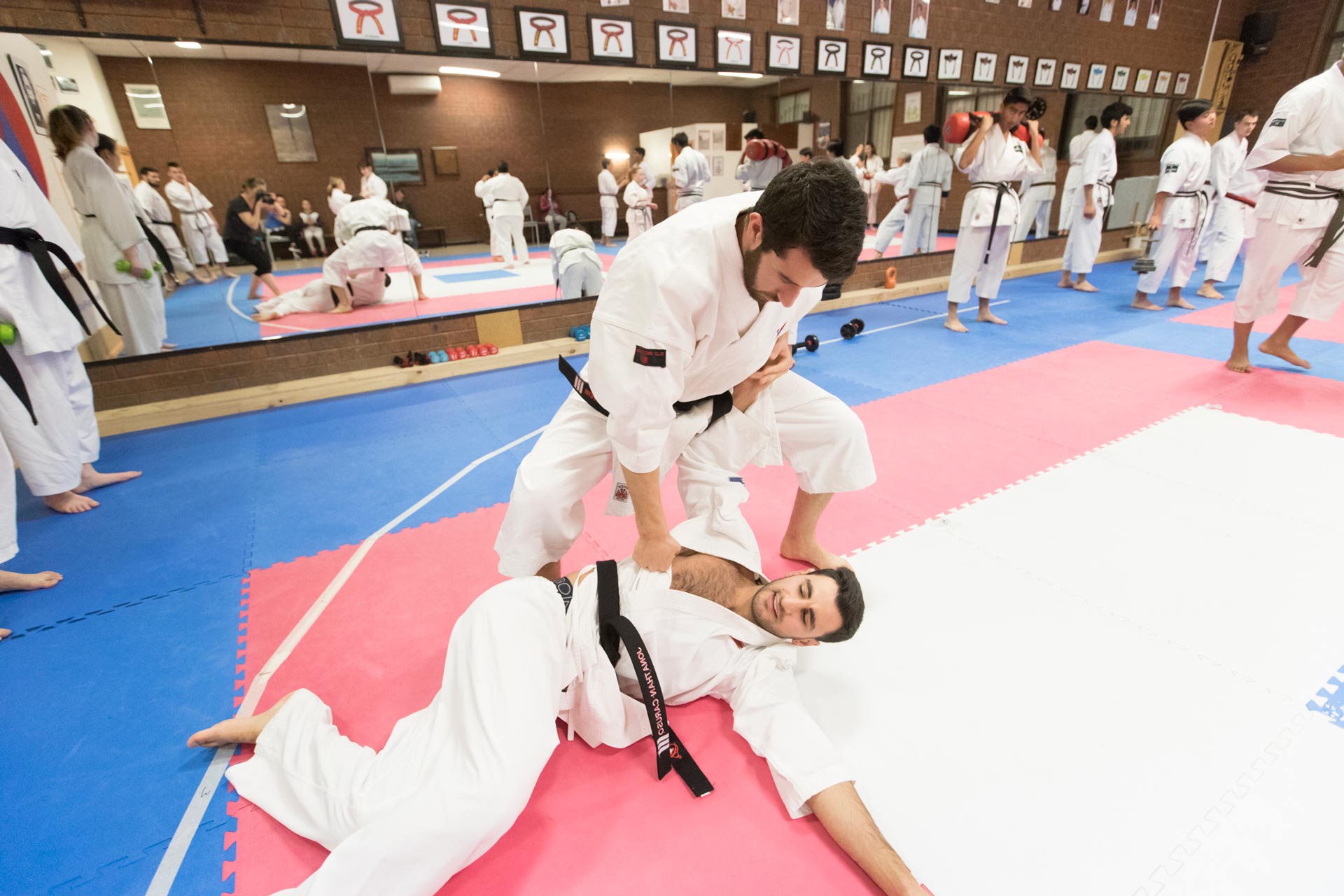 black belt