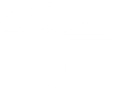 Destiny Enterprises Logo - White Version
