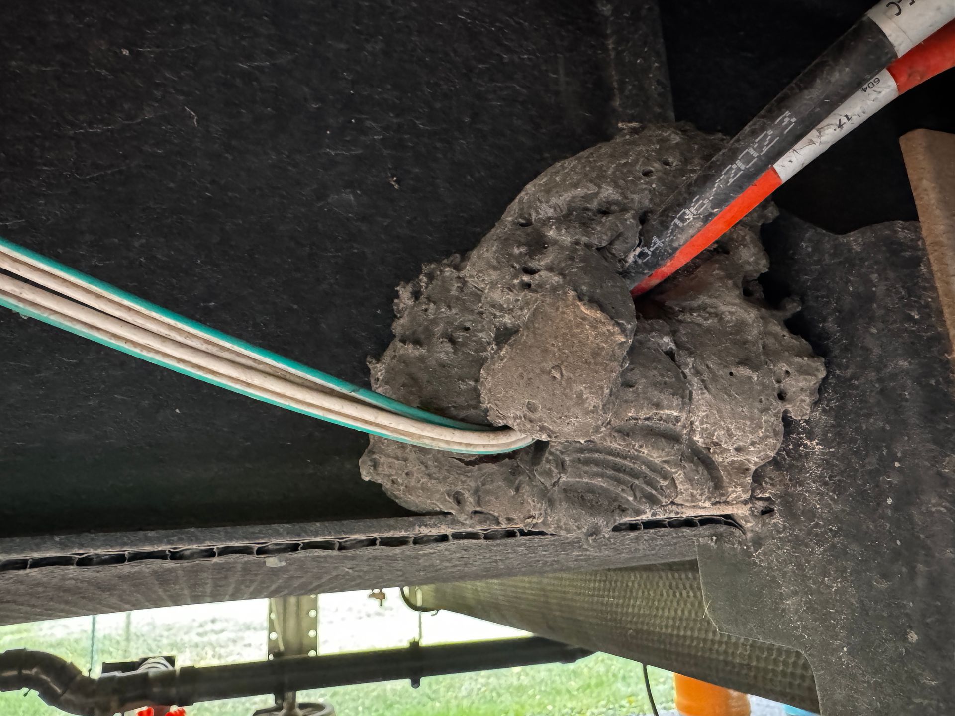 Mice in the RV? How to Keep Critters Out of Your Home on Wheels