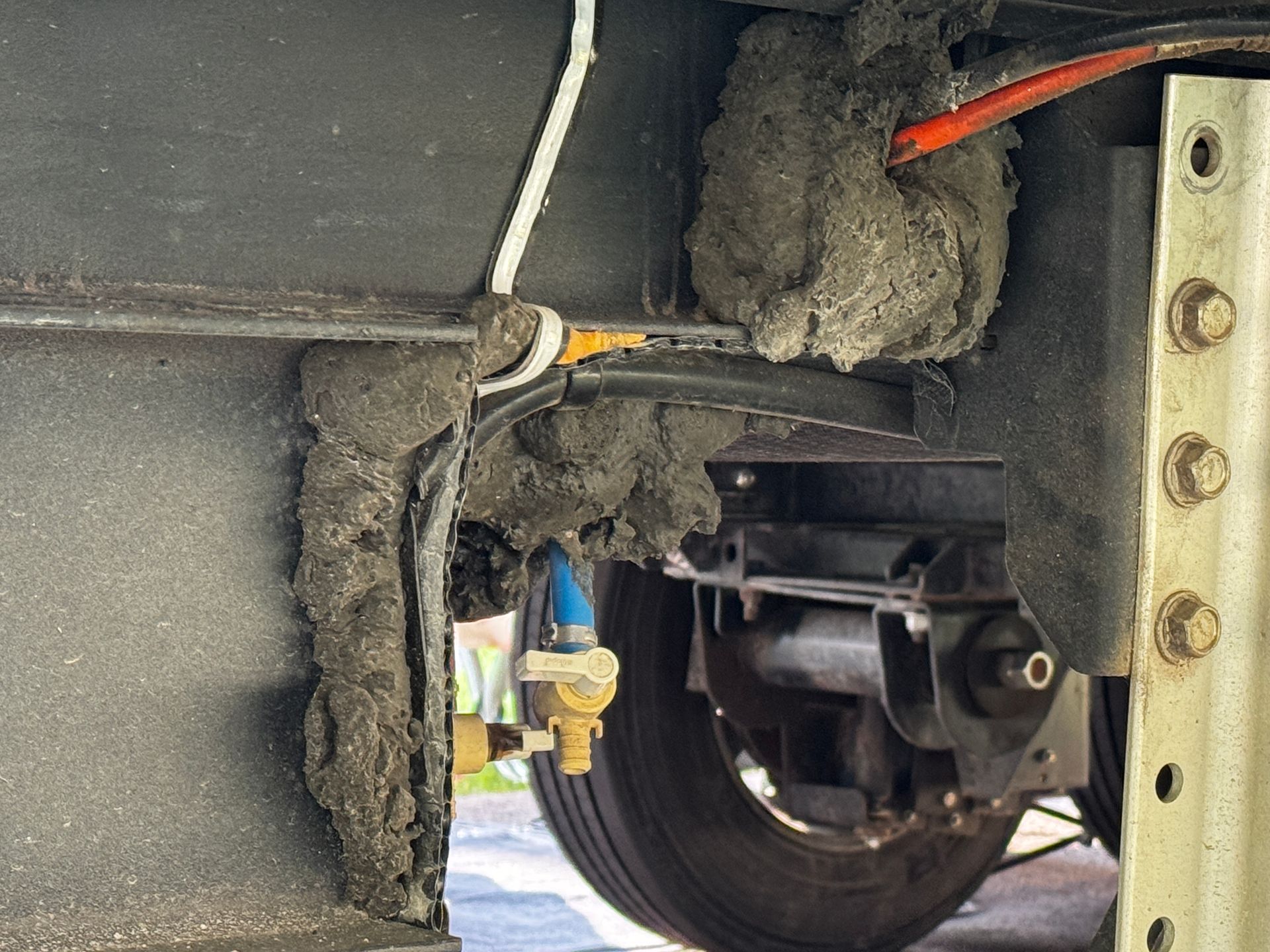 Mice in the RV? How to Keep Critters Out of Your Home on Wheels