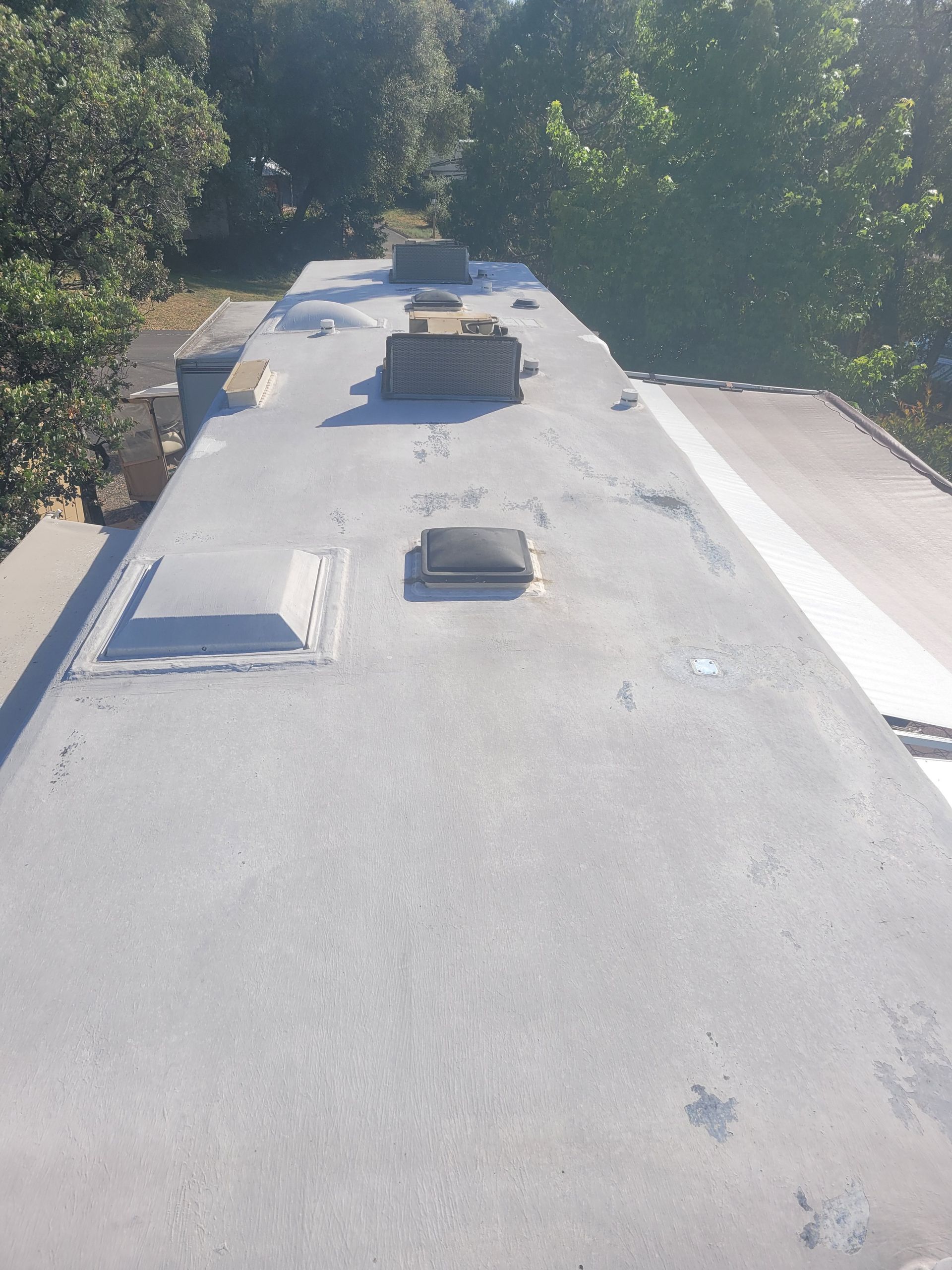 Flat rooftop with vents and skylights, surrounded by trees in bright daylight.