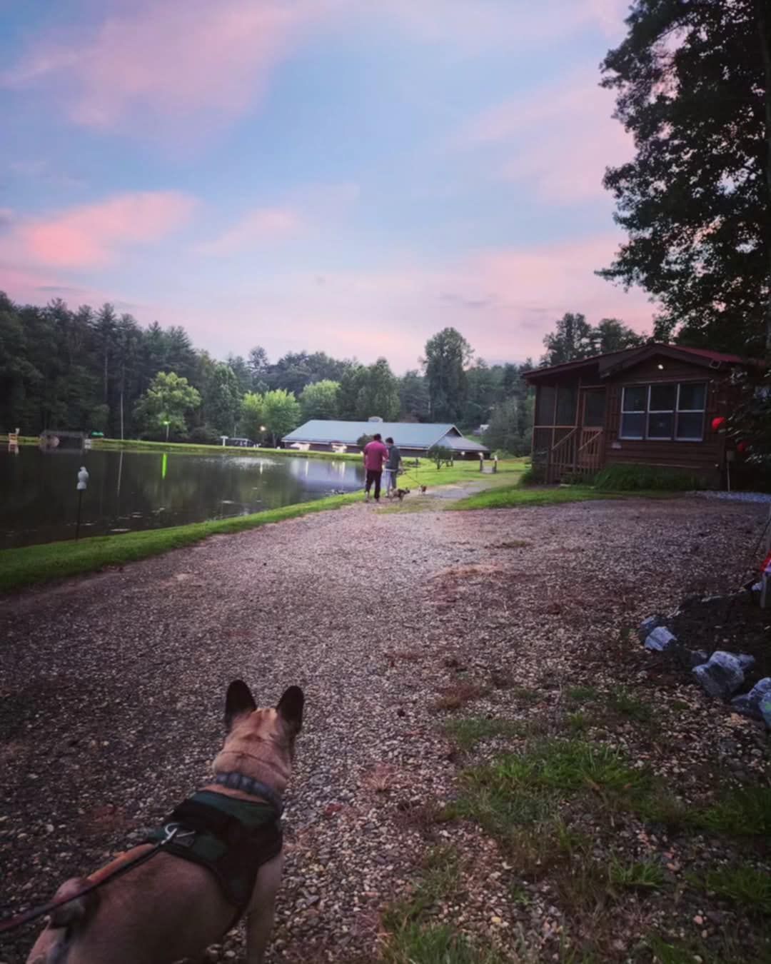 Dog on a leash looks toward a couple by a lake with a cabin at sunset.