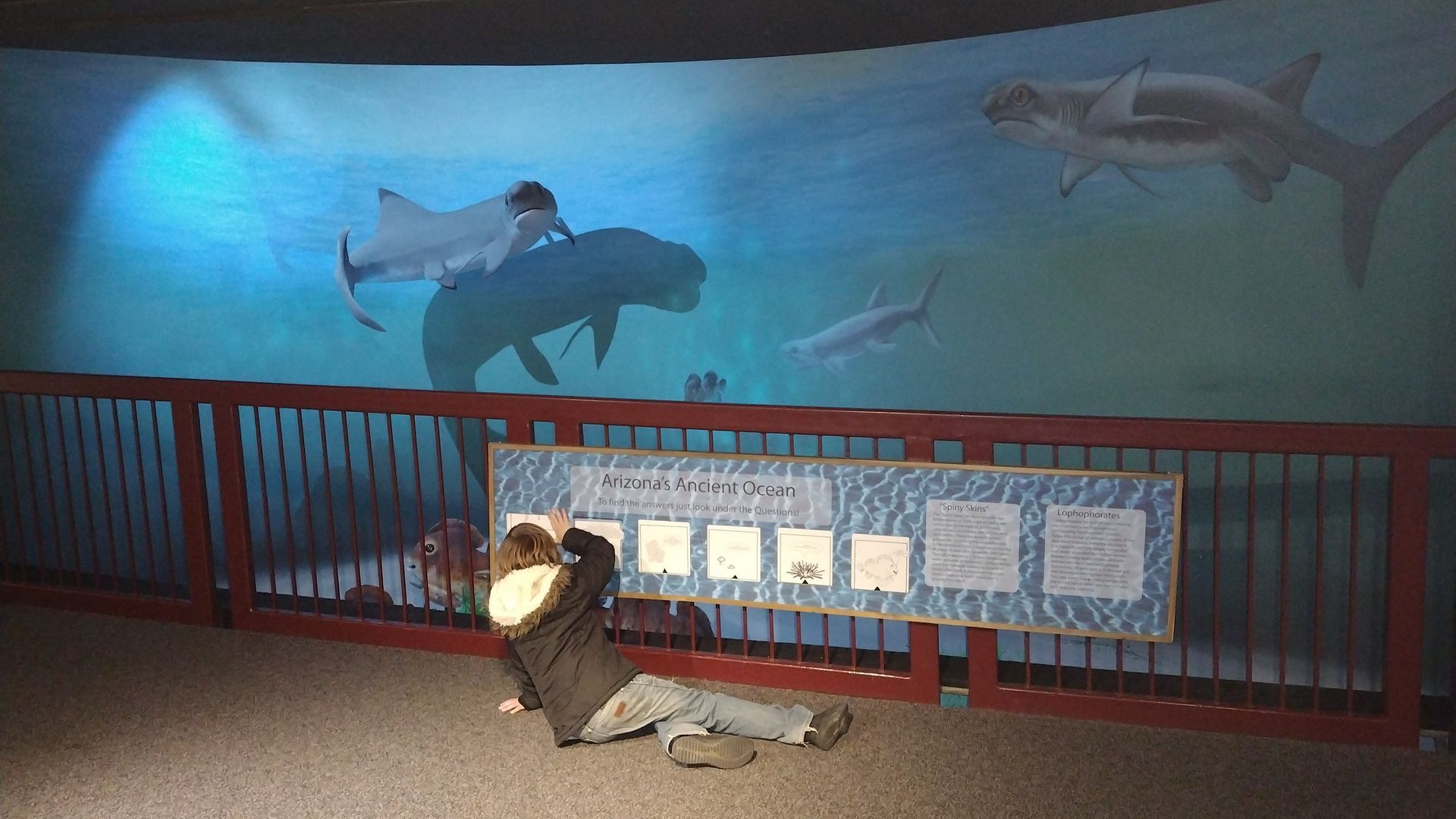 Person on floor, taking photo of underwater scene mural featuring sharks and a manatee.