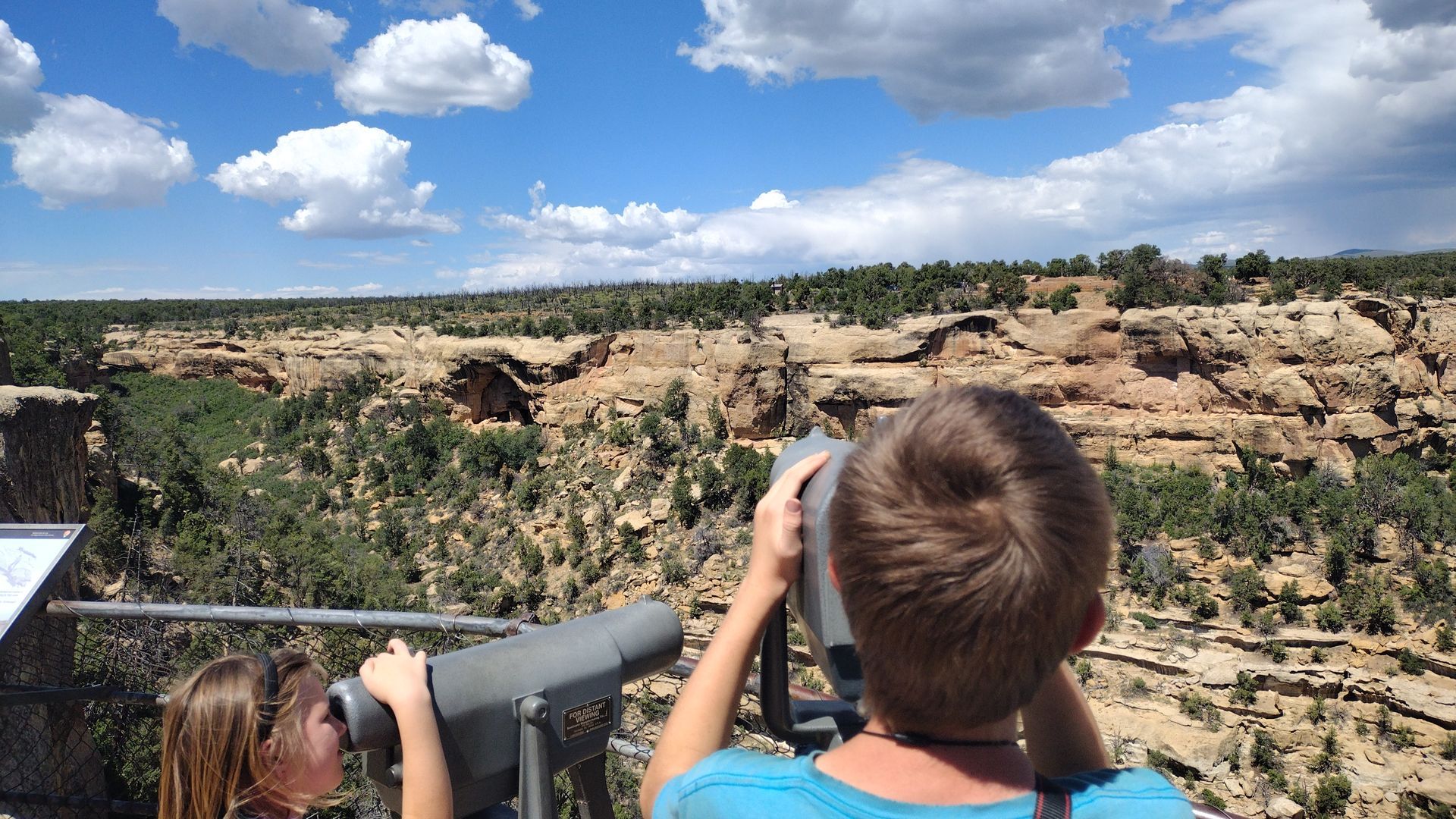 Children look through binoculars at a canyon under a blue sky with puffy clouds.