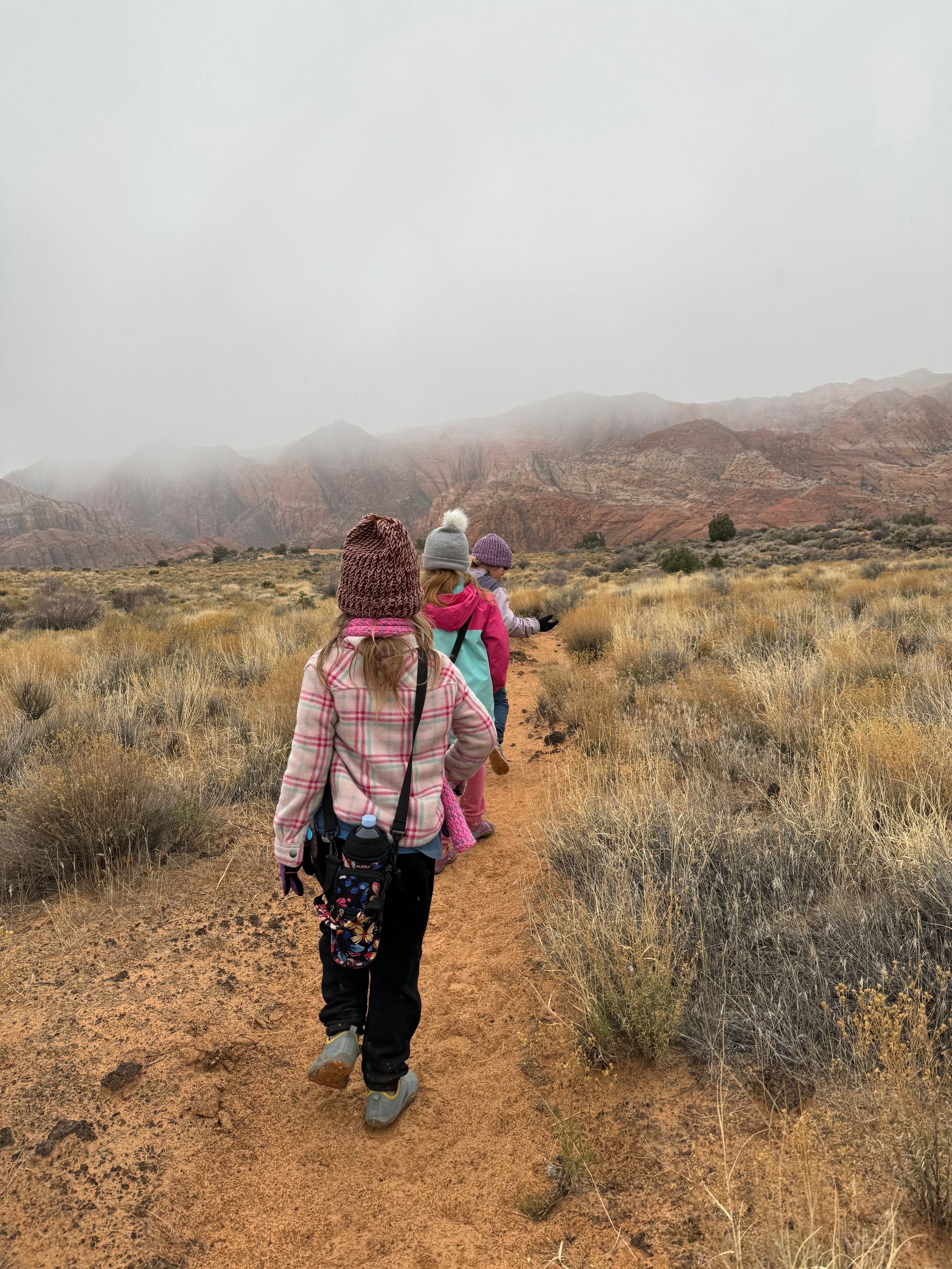 Four children hiking on a dirt path in a desert landscape, under a cloudy sky.