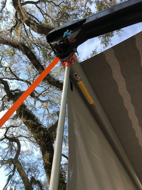 A close up of a tent with a tree in the background