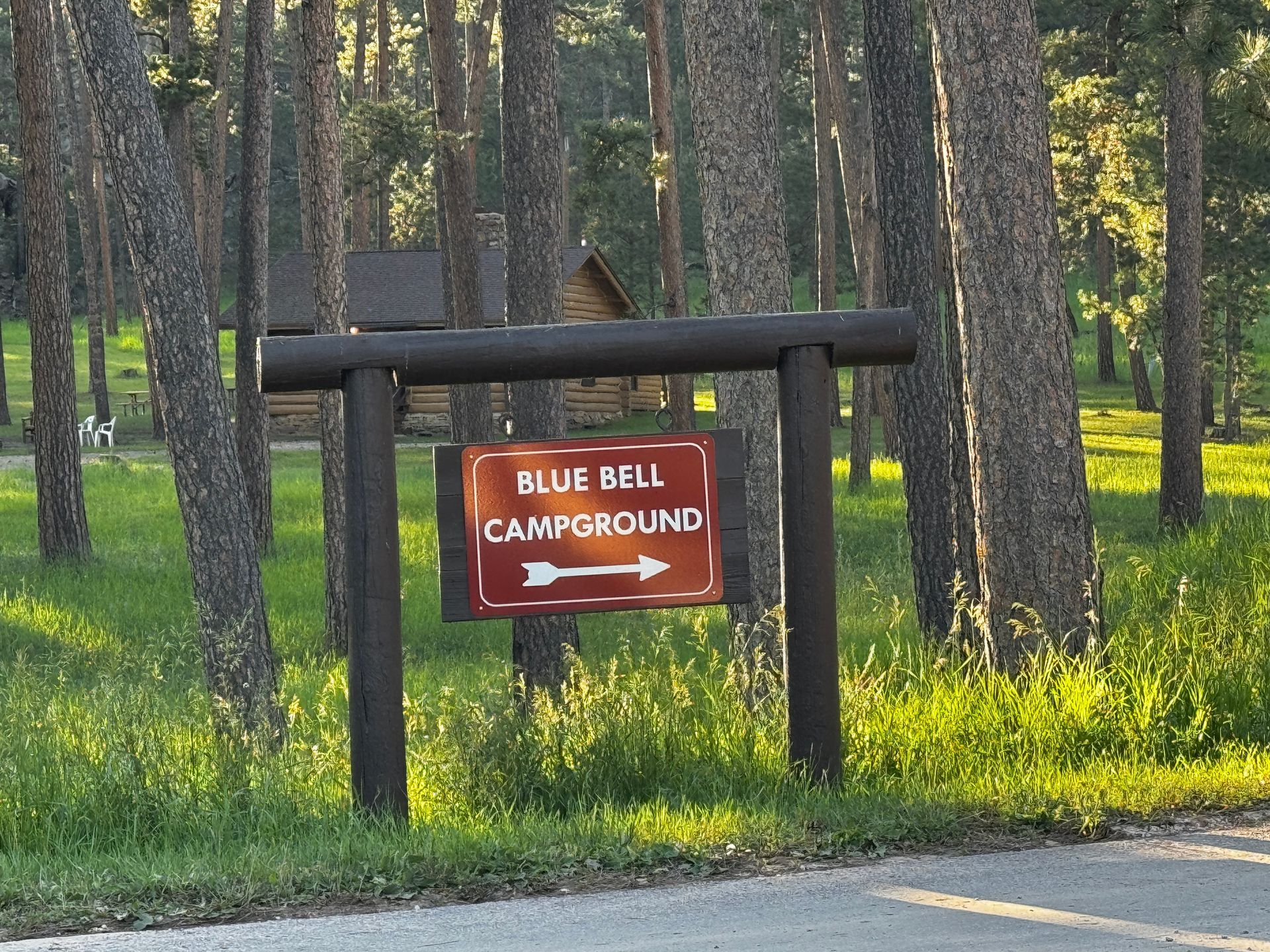 Sign for Blue Bell Campground with an arrow pointing right, surrounded by trees.