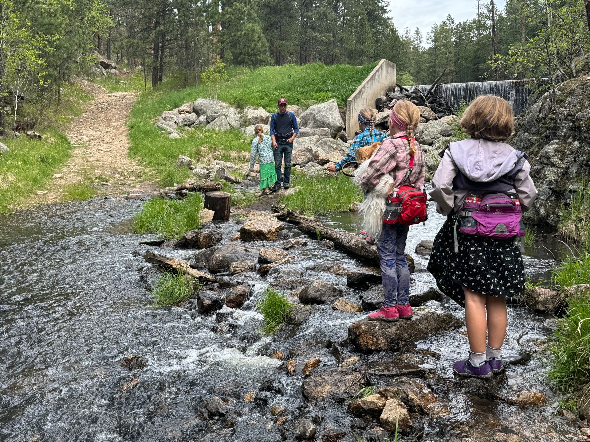 Family crossing a stream on a hike: rocks, water, green grass, trees, and cloudy sky.