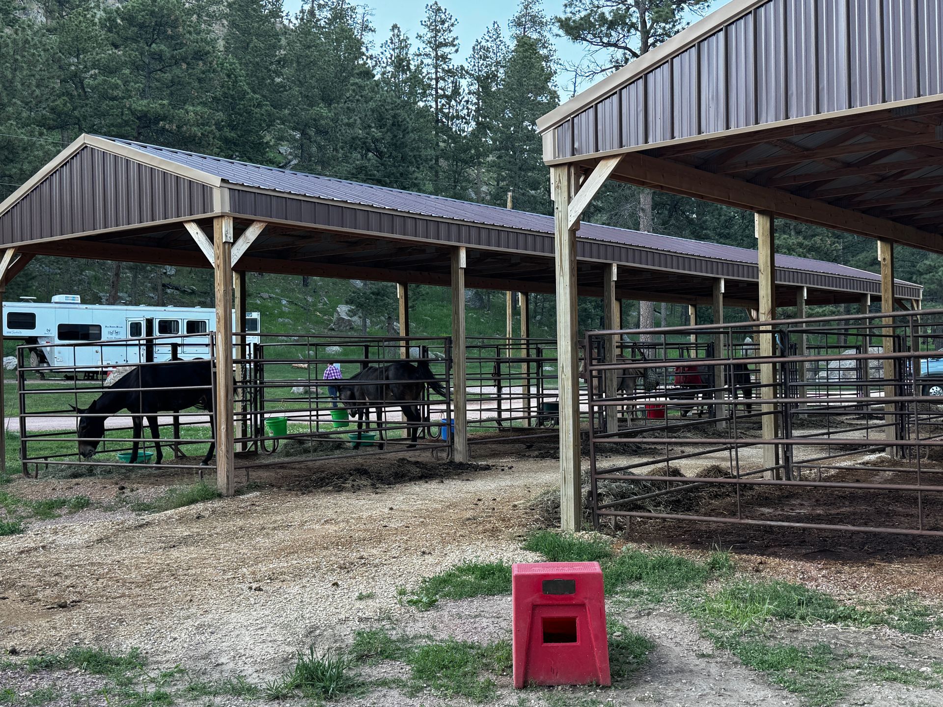 Horses in covered stalls, gravel ground, forest background. Brown metal roof, red container.