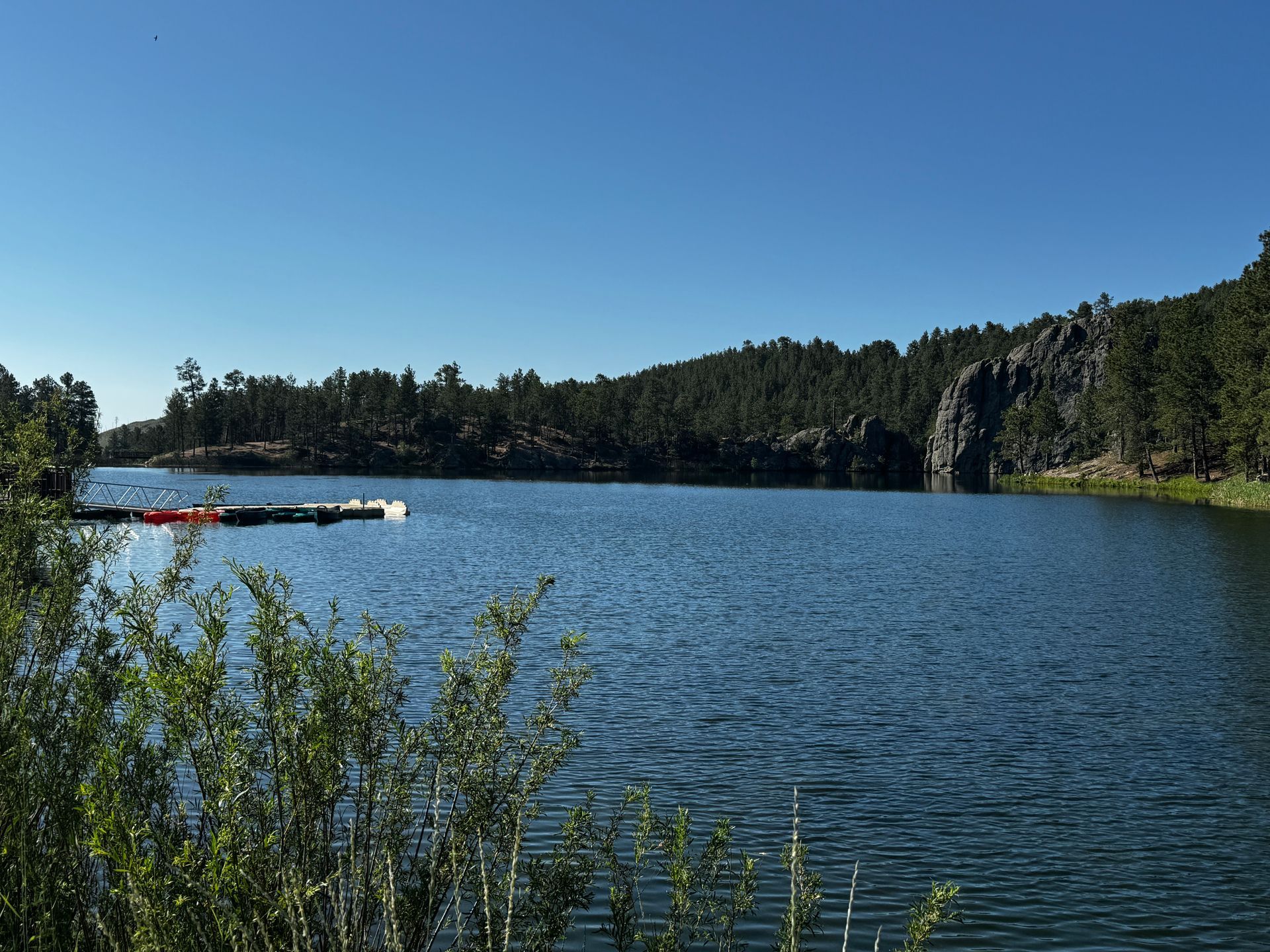 A calm lake surrounded by green trees and a bright blue sky; a small dock is in the distance.