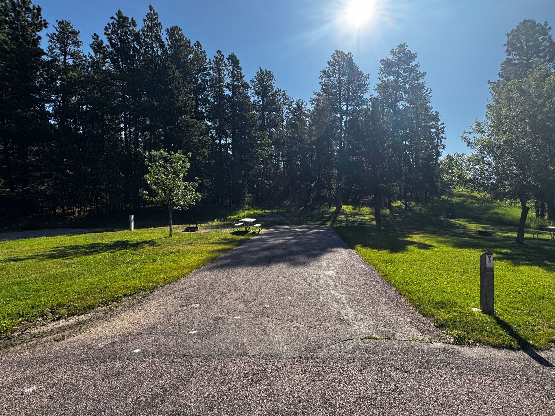 Gravel driveway leads to picnic table in grassy area of campsite, tall trees in background, sunny day.