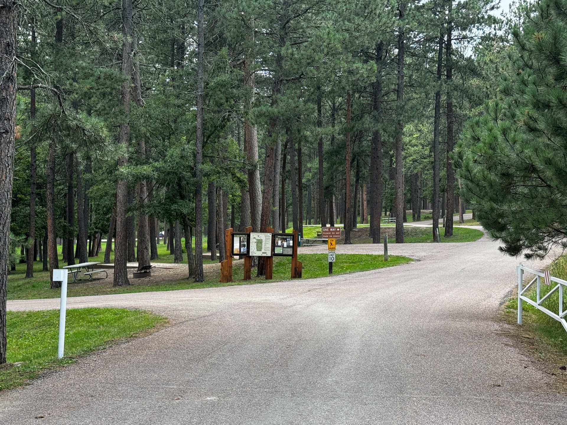Gravel road in a forest, leading to a signpost with information. Tall green trees on both sides.