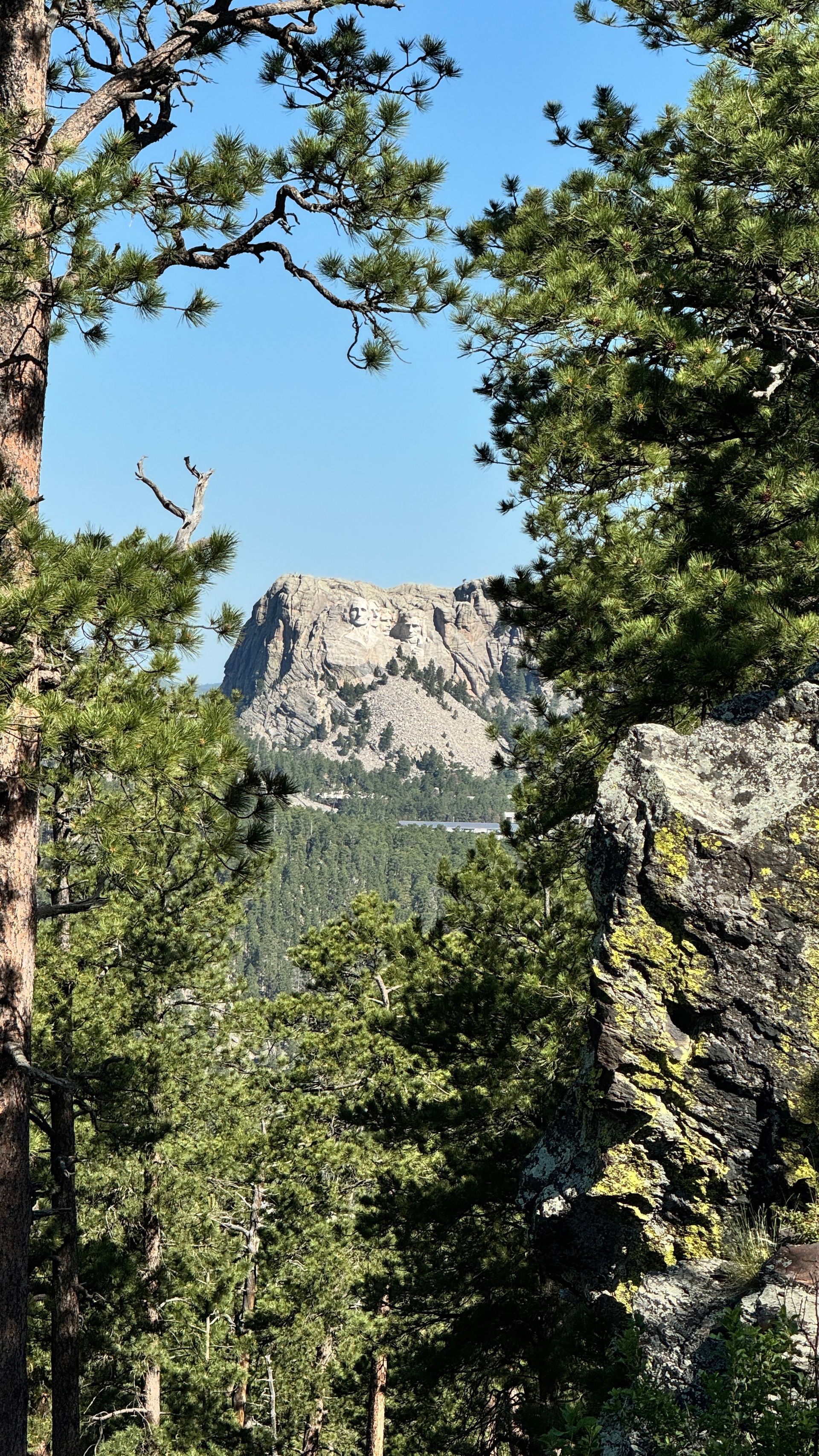 A mountain peak framed by green trees under a blue sky.