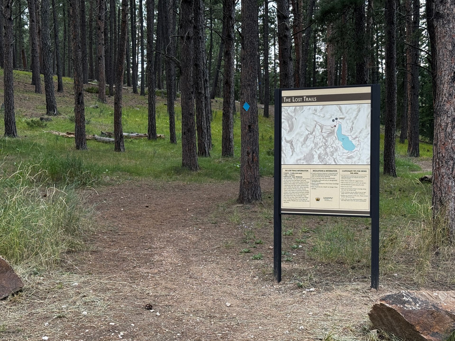 Trailhead sign in a forest, showing a map. The path is surrounded by trees and green grass.