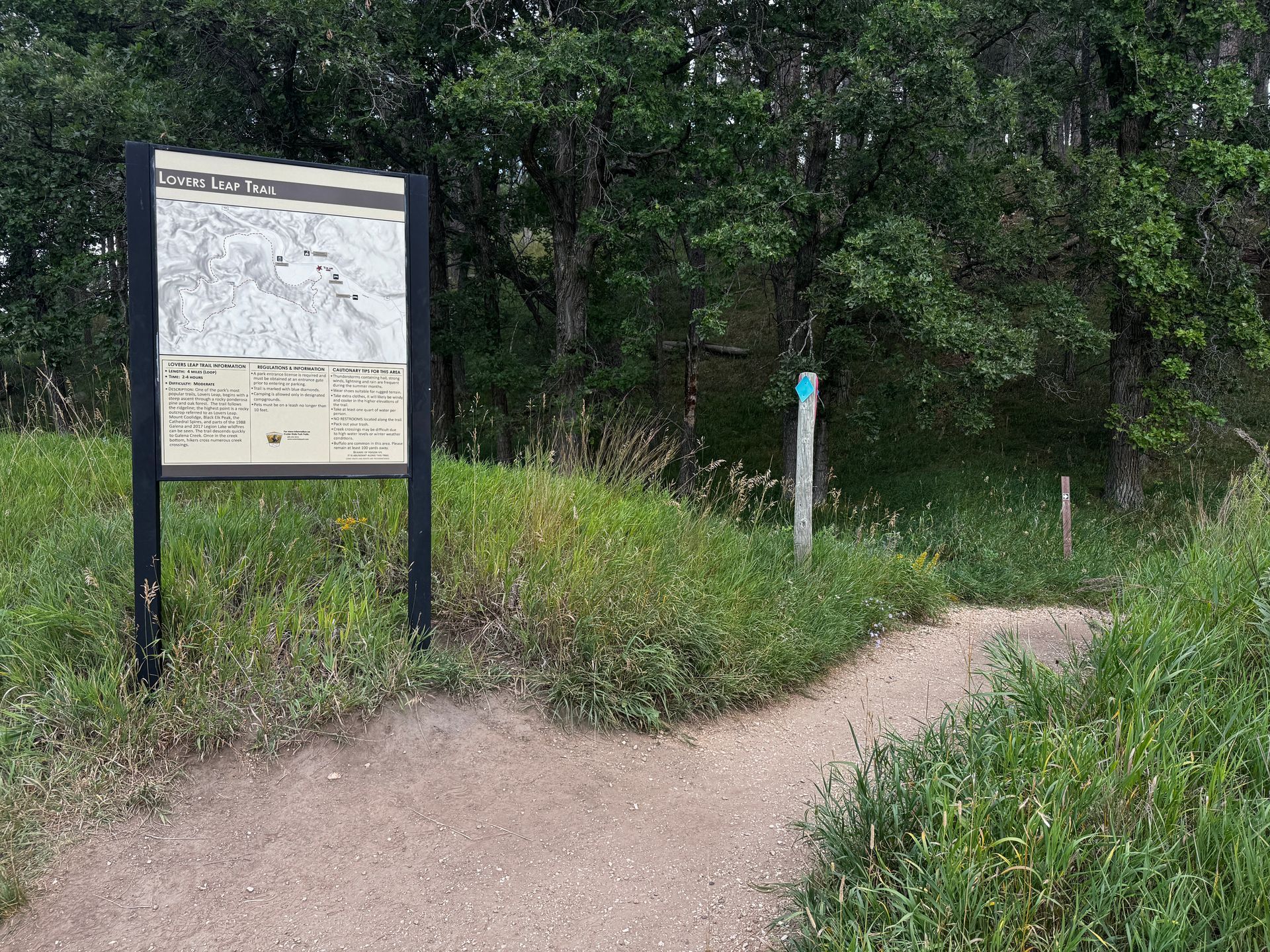 Trailhead with a map, path, and marker post in a grassy, wooded area.