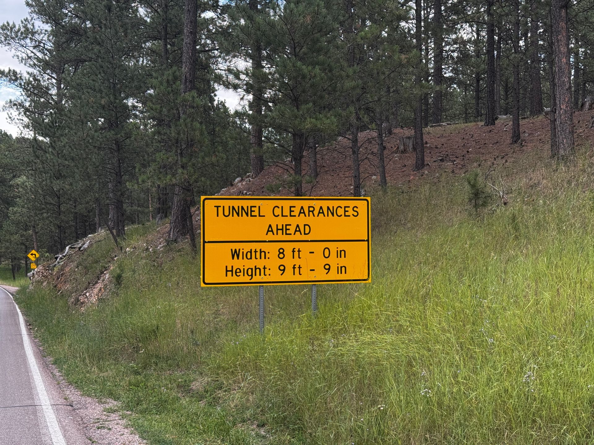 Yellow sign on roadside: Tunnel clearances ahead, width 8 ft - 0 in, height 9 ft - 3 in; forest background.
