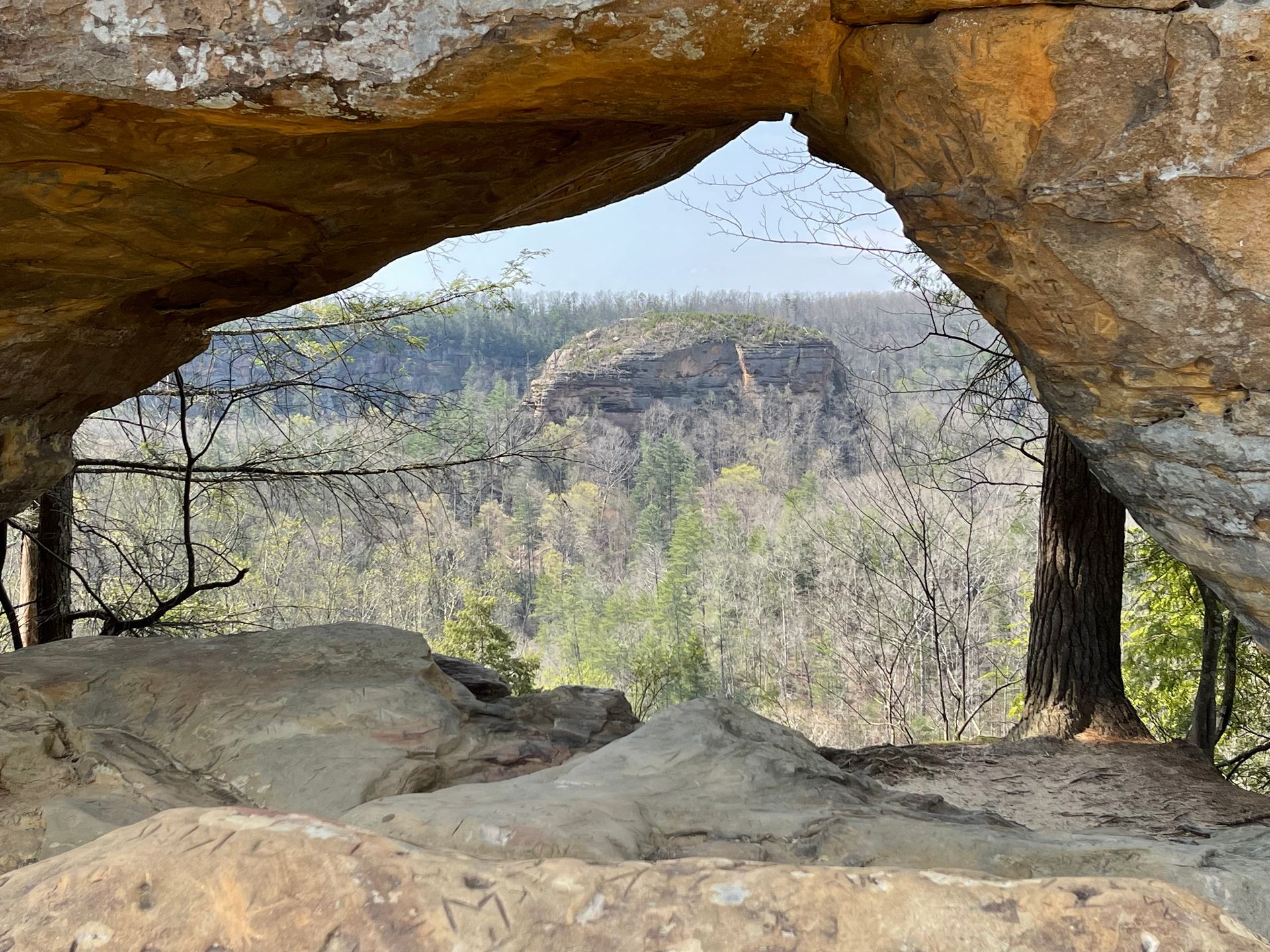 A view of a forest through a rock archway.