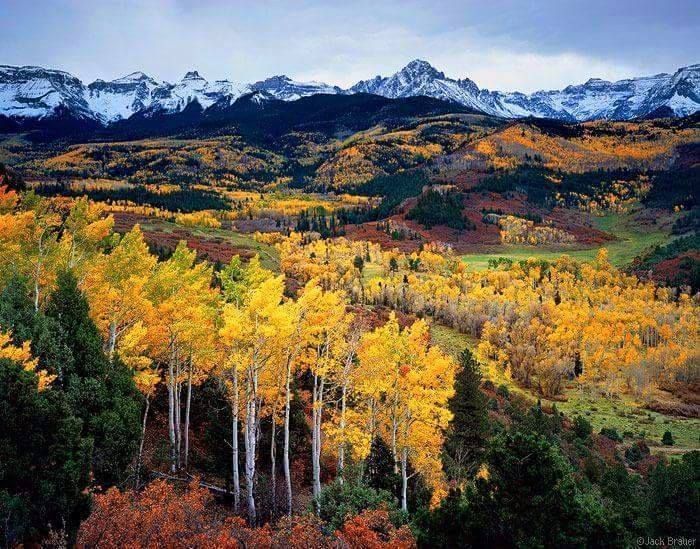 A valley with trees and mountains in the background