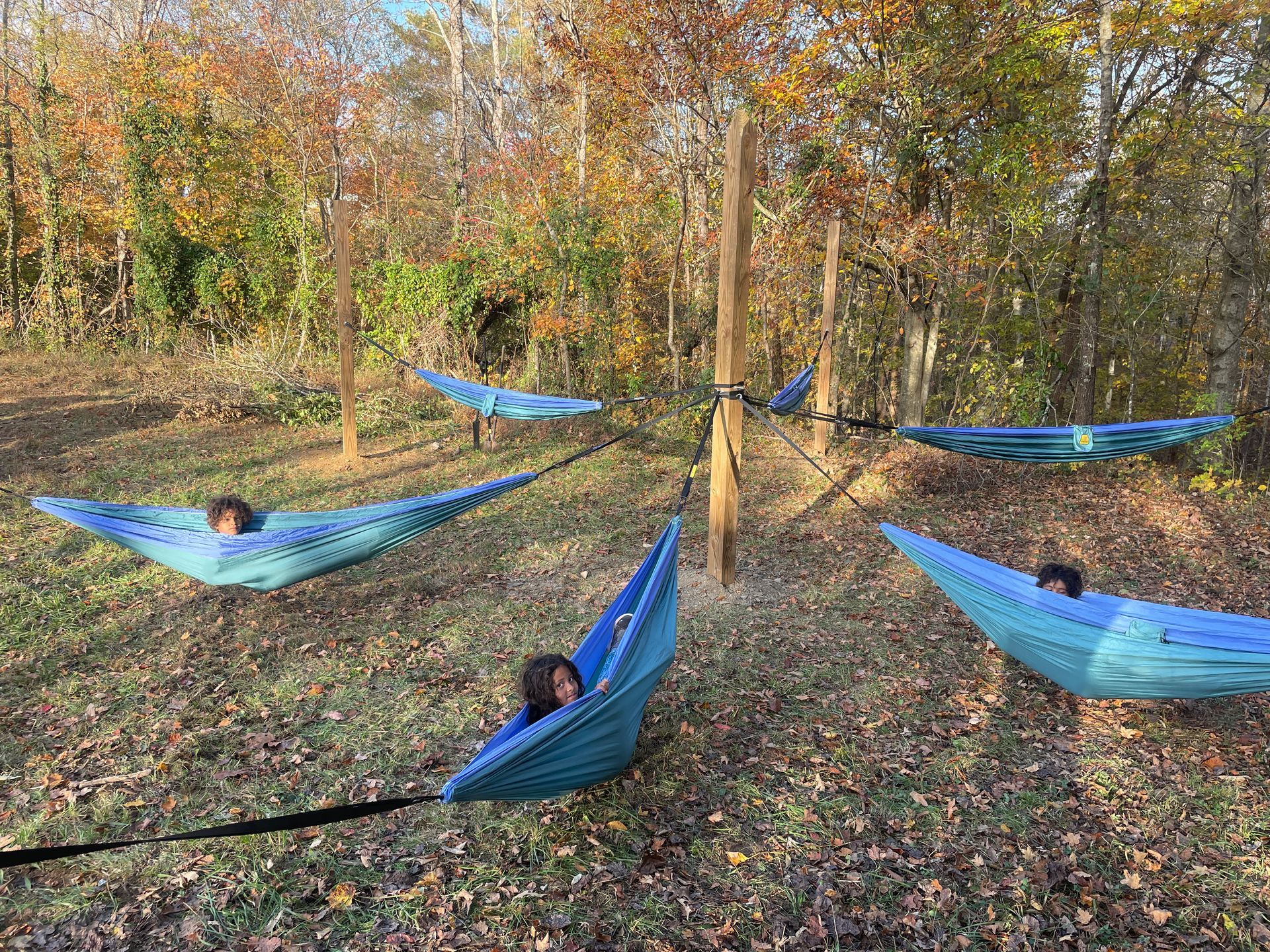 A group of people are laying in hammocks in the woods.