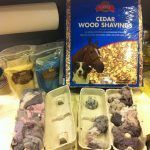 A box of cedar wood shavings is sitting on top of a table next to a box of mice.