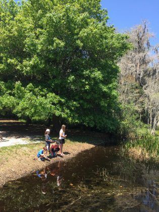 A group of children are standing on a rock near a pond.