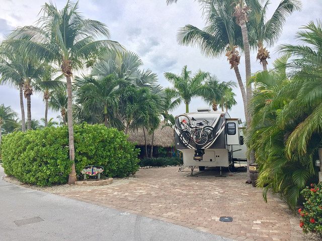 A rv is parked in a driveway surrounded by palm trees.
