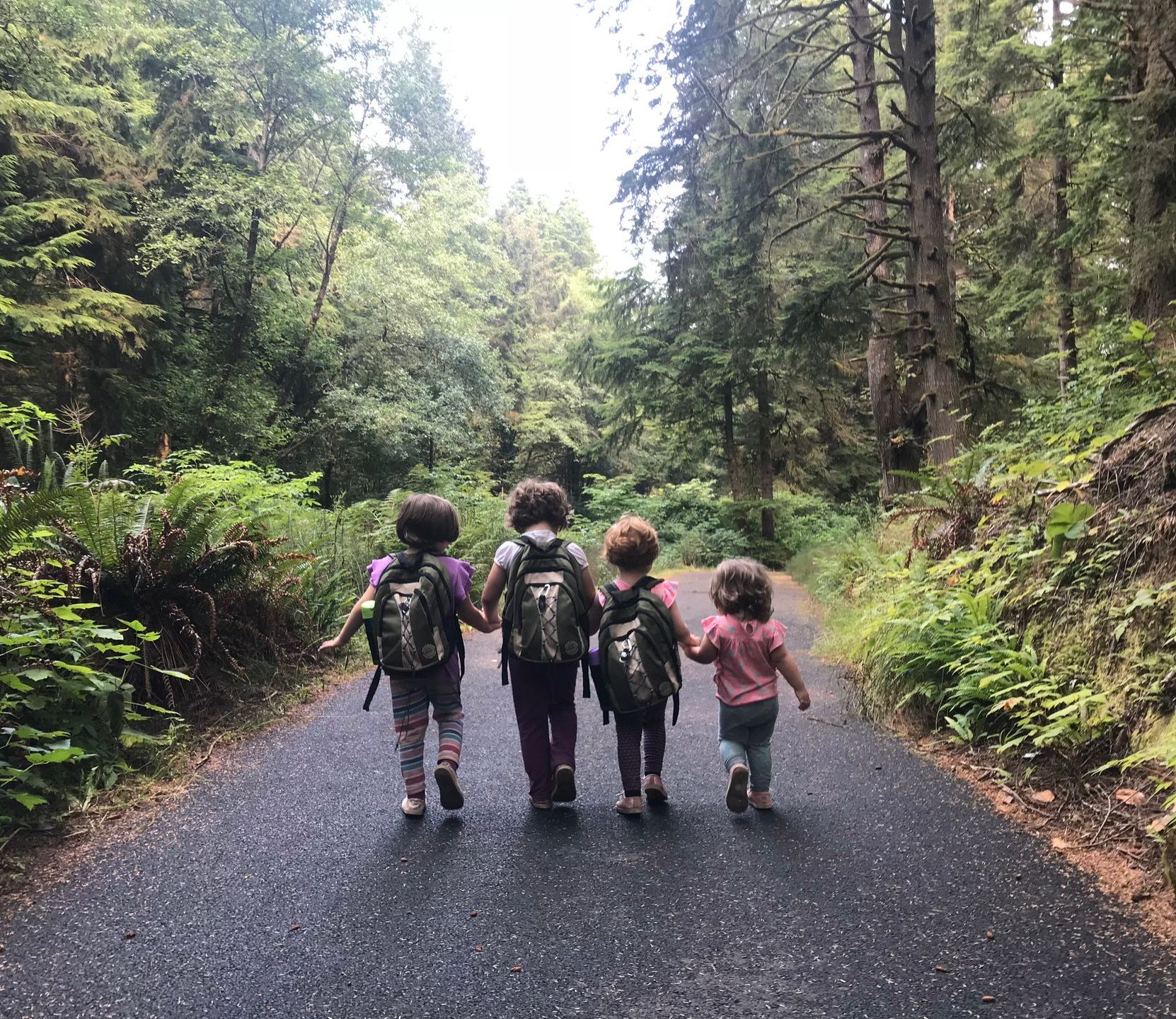 Four children with backpacks walk hand-in-hand on a paved path in a lush green forest.