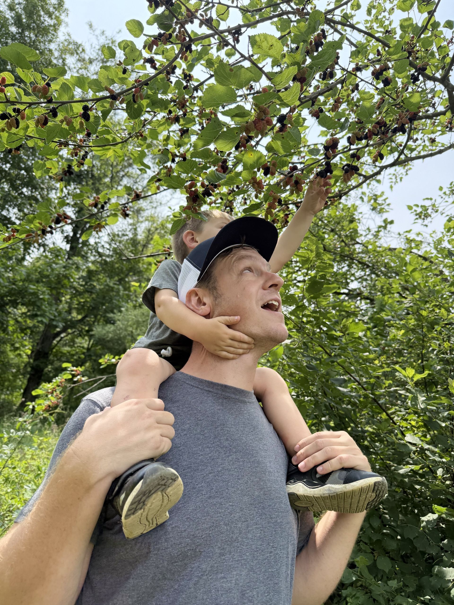 Adult carrying a child on shoulders under leafy trees, looking up and smiling