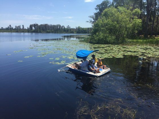 A group of people are riding a pedal boat on a lake.