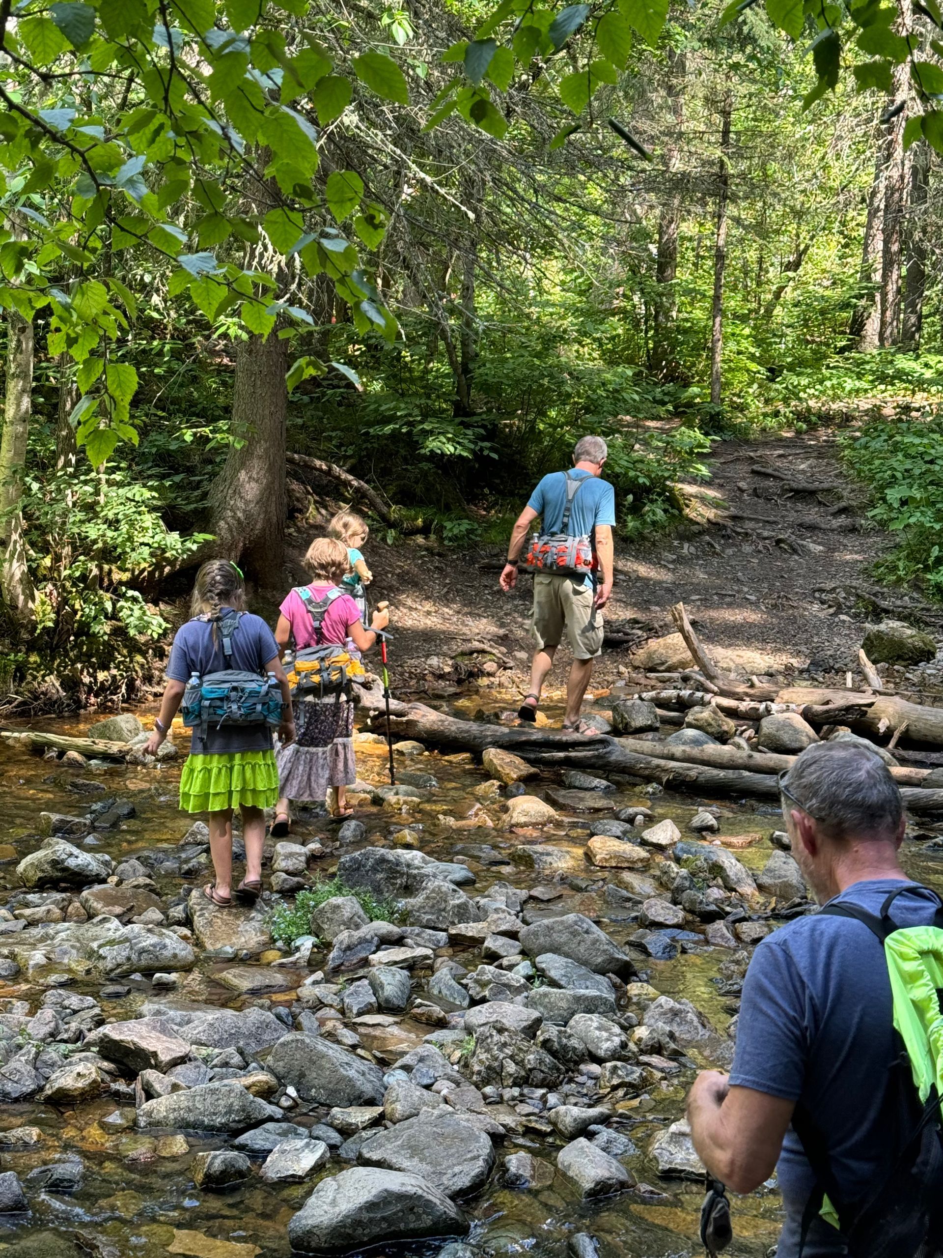 People hiking through a shallow stream in a wooded area.