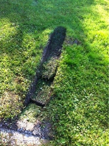 A shadow of a person is cast on a lush green field