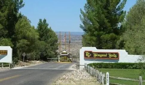 Entrance road lined with pine trees leading to a resort sign in a desert landscape