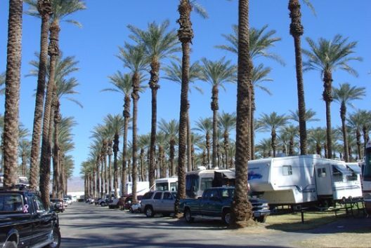 Palm-lined street with parked cars and RVs under a bright blue sky Palm Desert CA