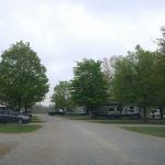 A dirt road surrounded by trees and houses on a cloudy day.