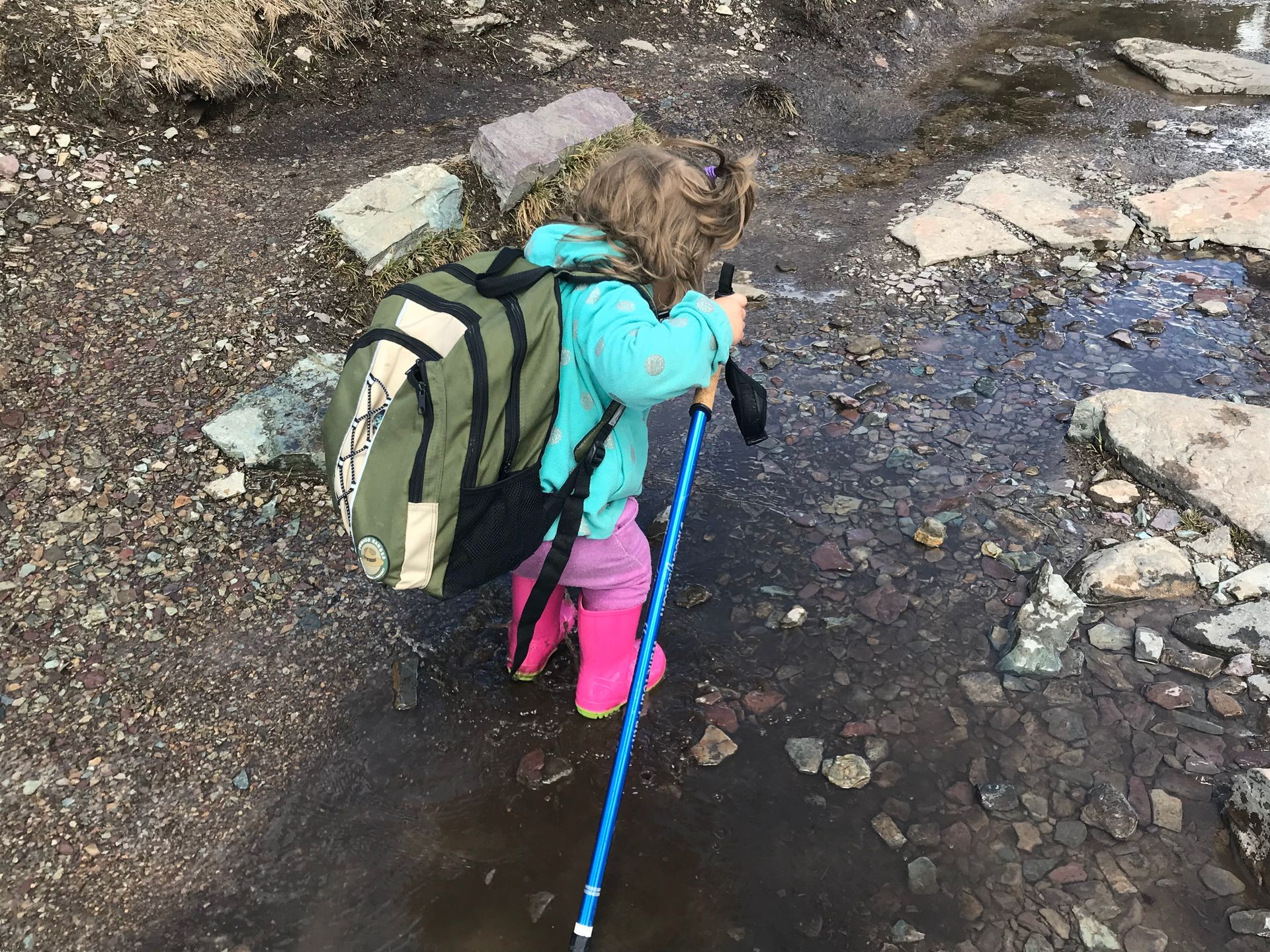 Young child in pink boots hikes a muddy trail with a backpack and hiking poles.