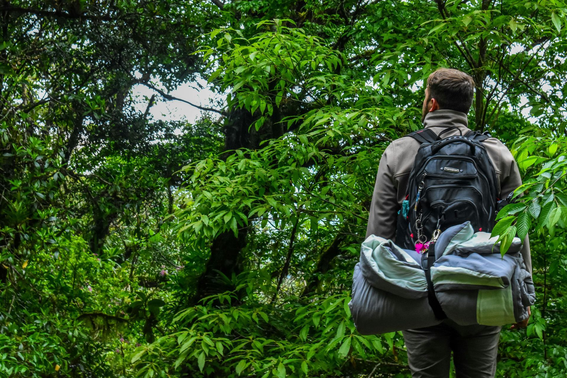 Person with backpack in a lush green forest, looking ahead.