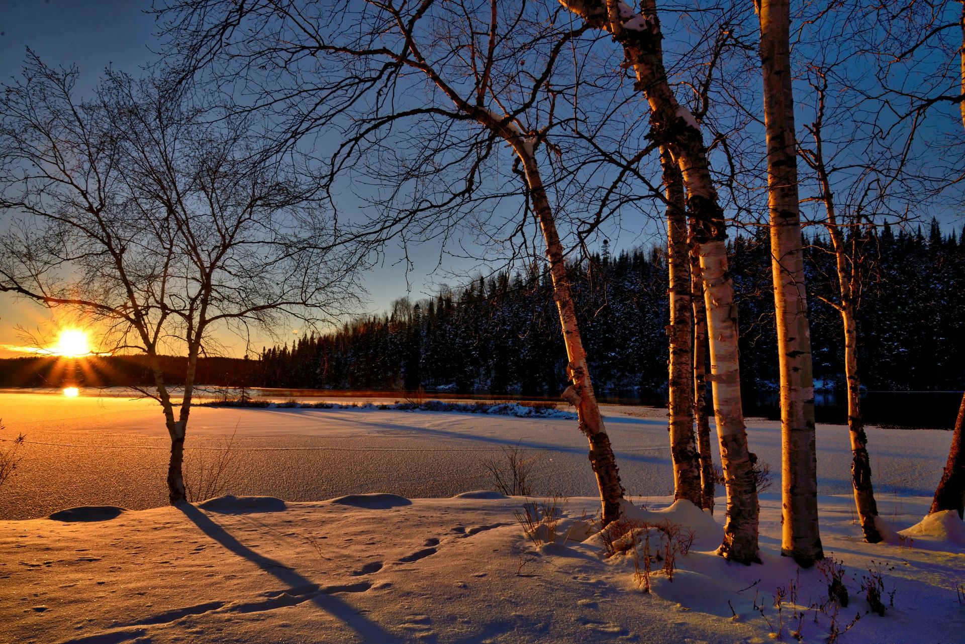 A vibrant golden sunrise illuminates a snow-covered landscape and frozen lake, framed by bare birch trees in the foreground.