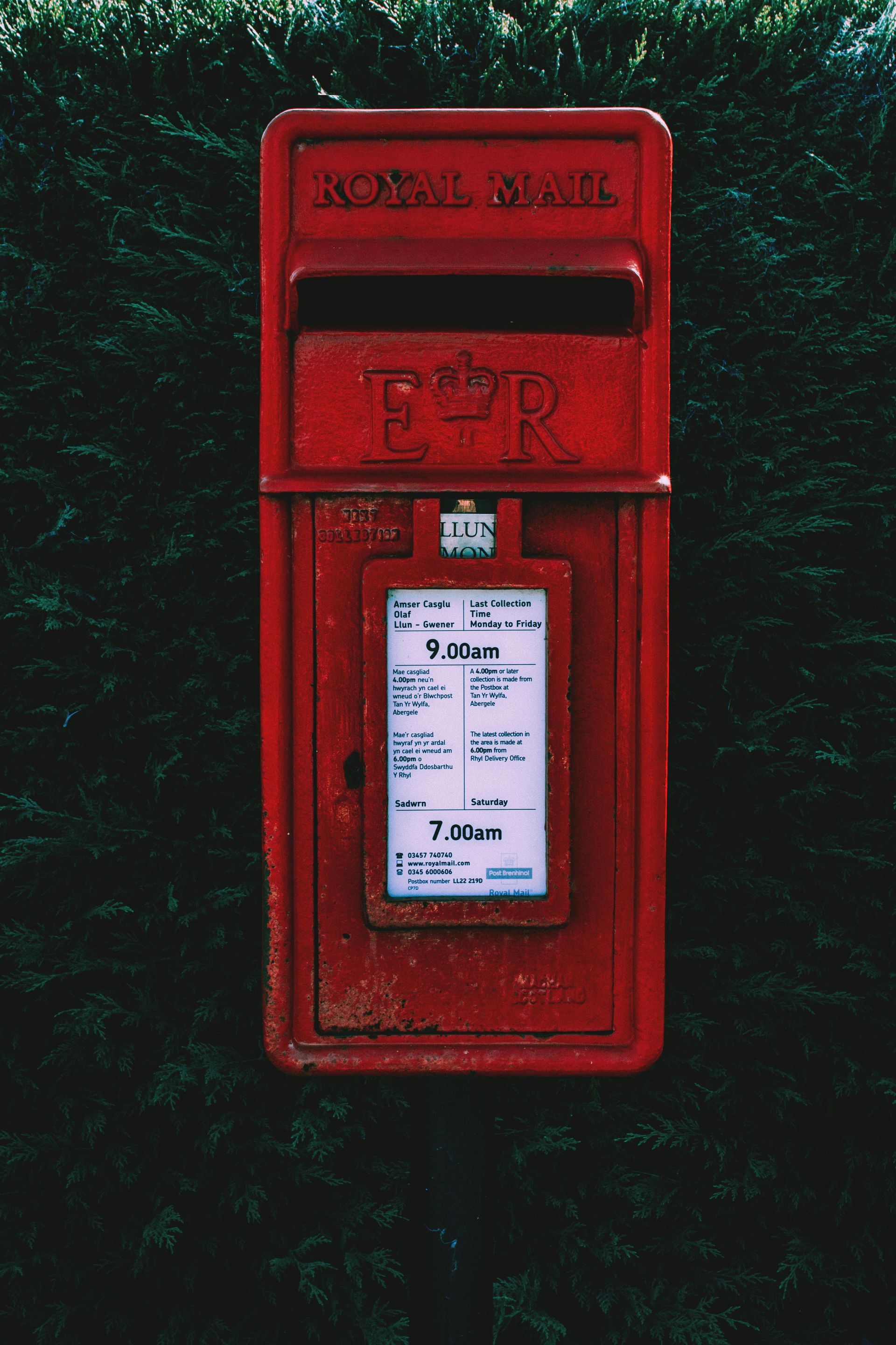 Red Royal Mail mailbox against dark green foliage.