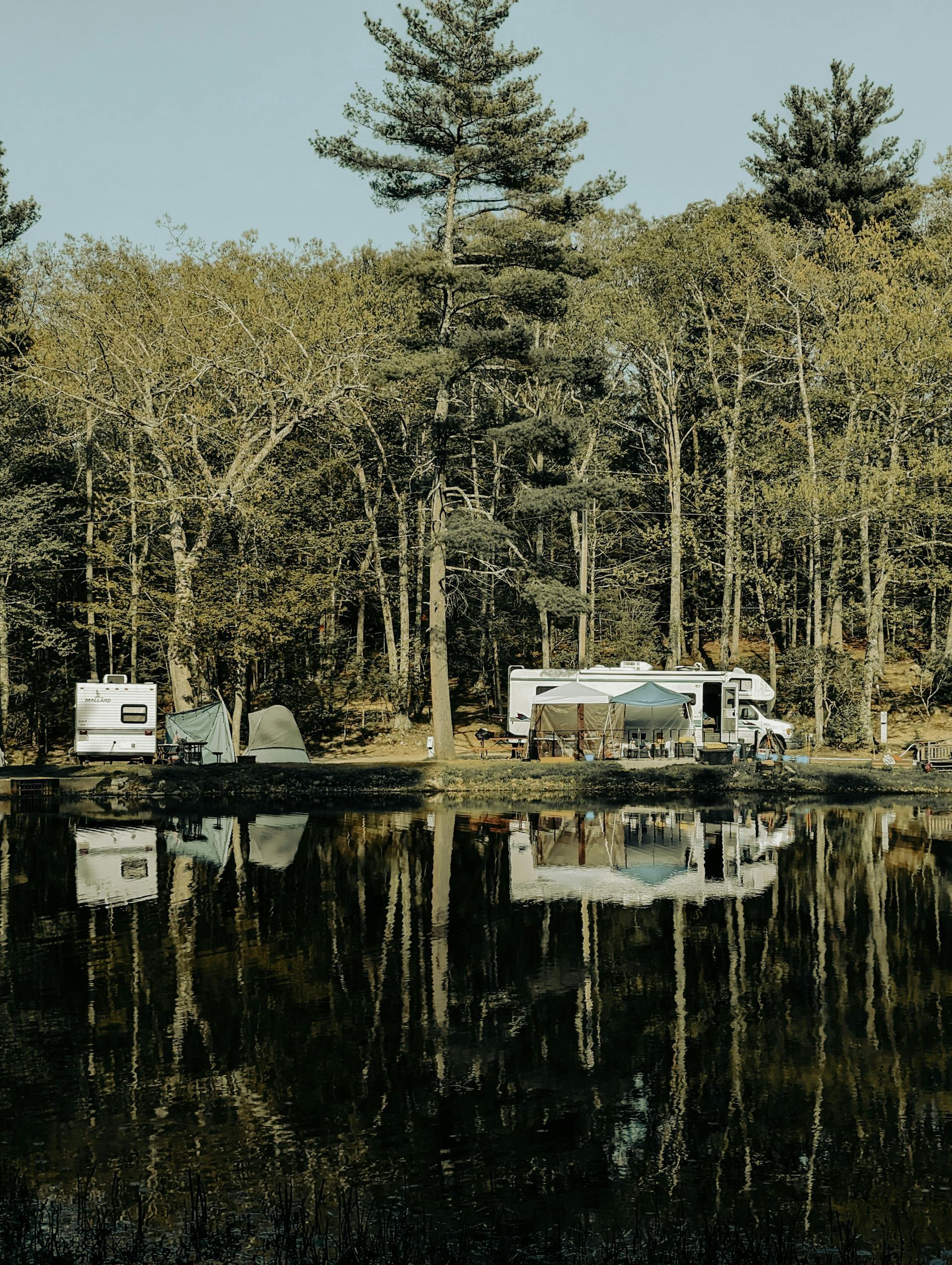 Camper vans parked by a forest lake, reflected in calm dark water