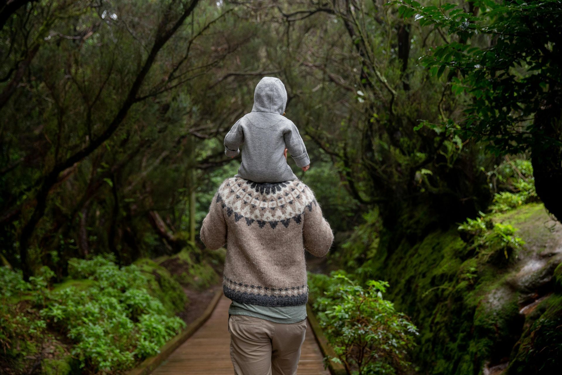 Person carrying a child on their shoulders, walking on a boardwalk through a lush green forest.