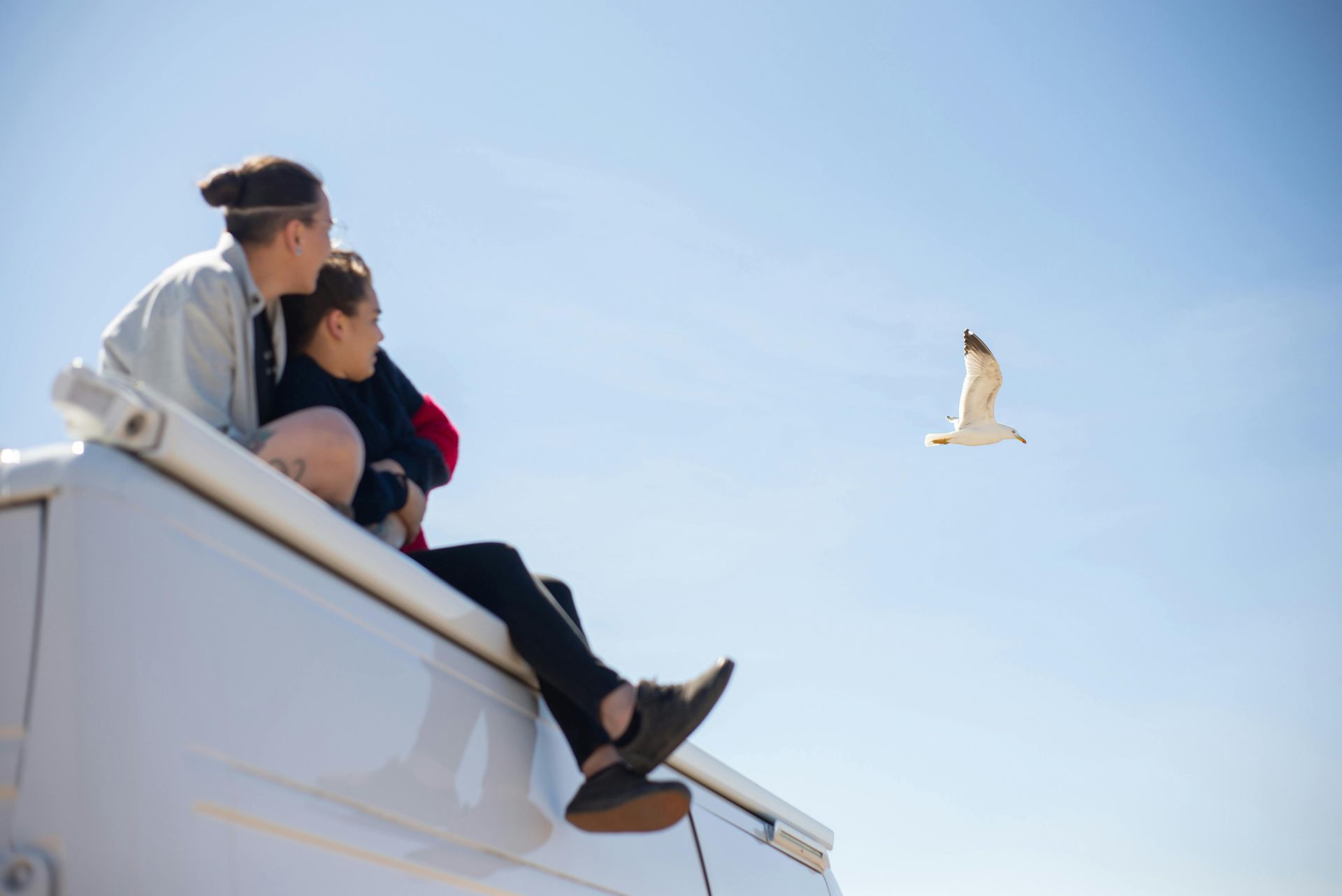 Two people sit atop a white van, looking at a seagull in a blue sky.