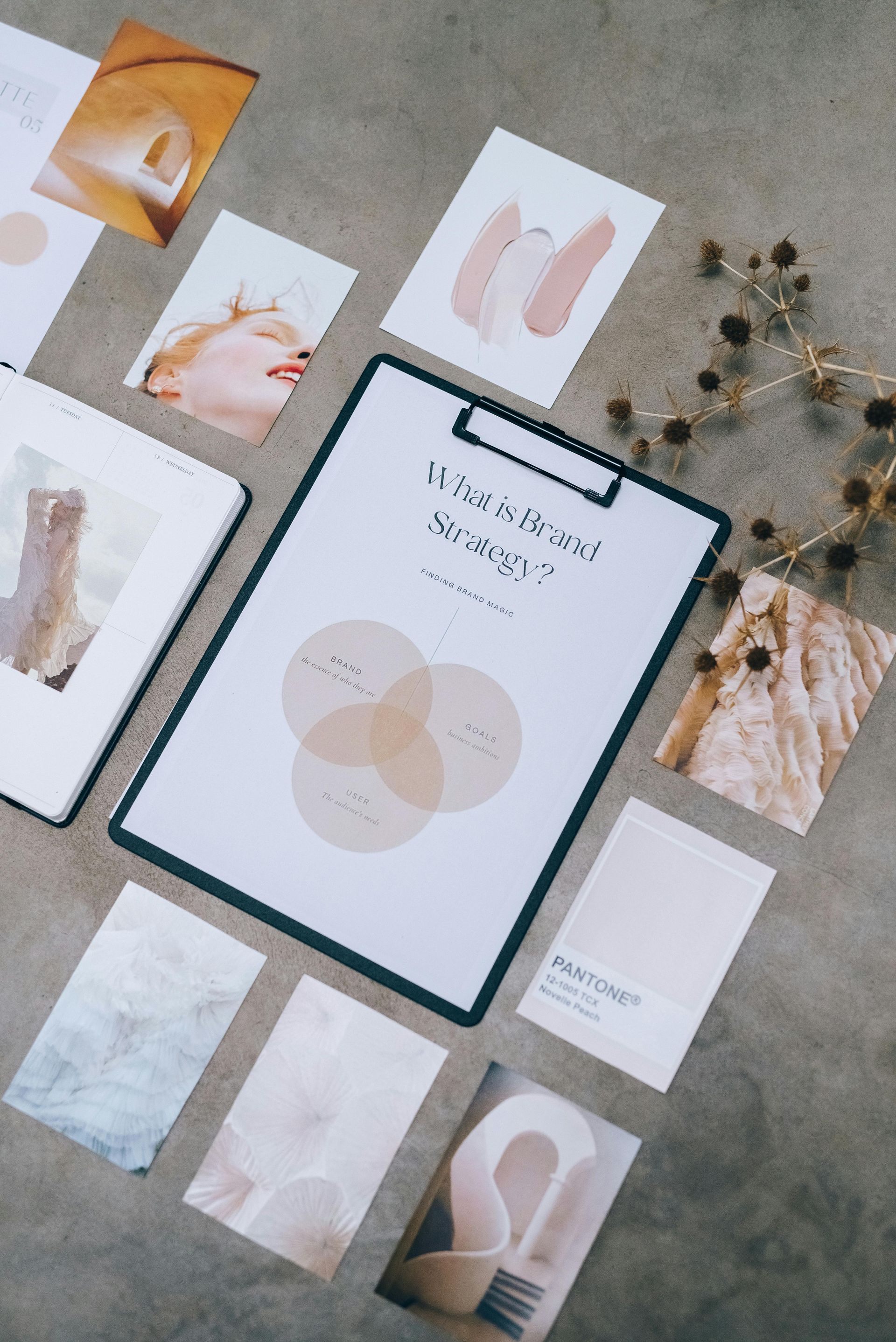 Clipboard with a Venn diagram and assorted aesthetic photos and cards on a gray surface.