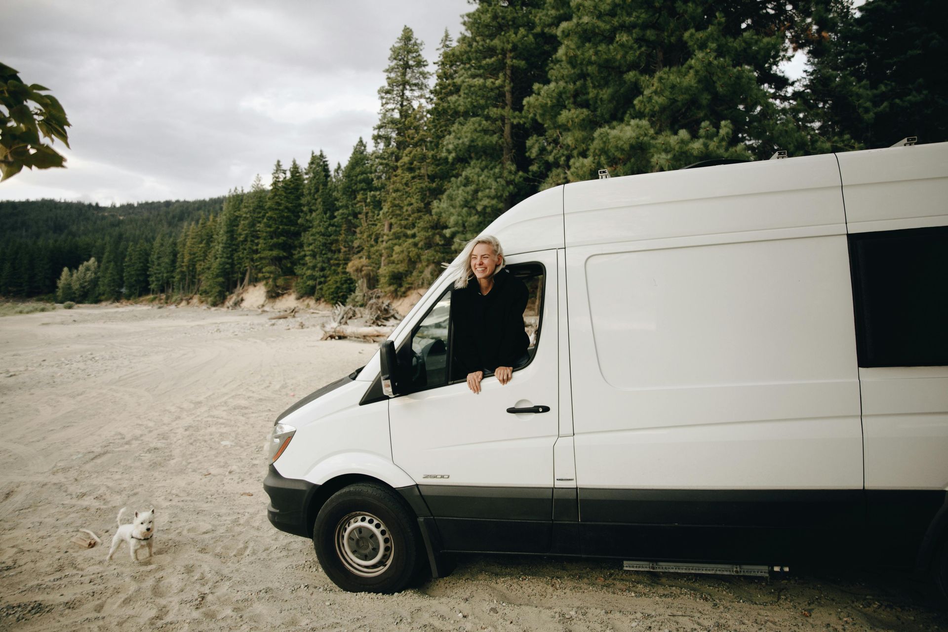 Woman leans out of white van window on a beach with a dog; forest in the background.