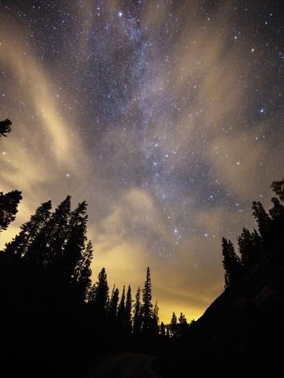 A starry night sky with trees in the foreground