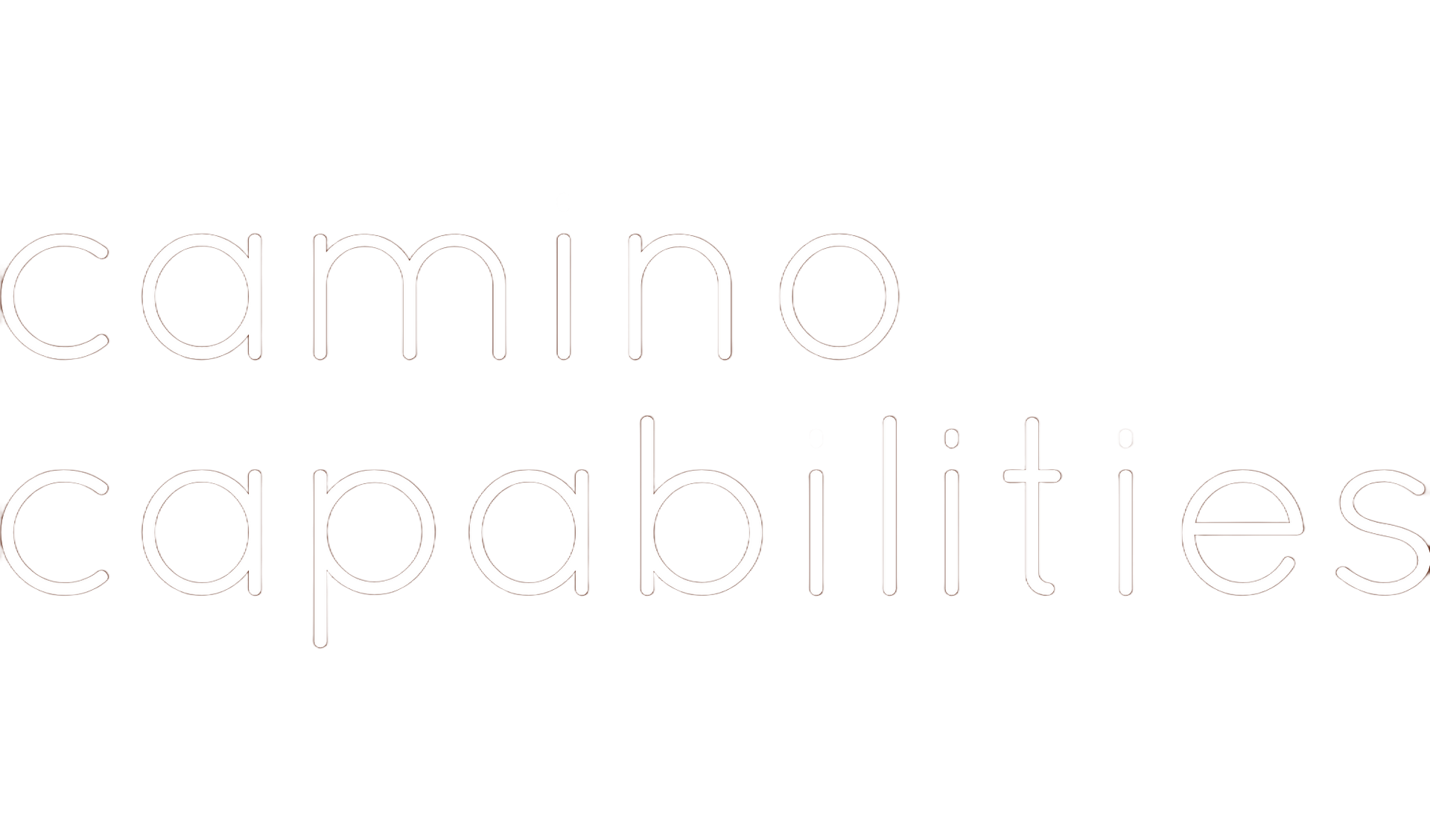 Camino Capabilities logo