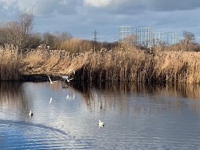 Barnes Park