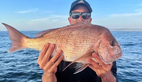 Deep Sea Fishing charters - Merimbula, South Coast NSW