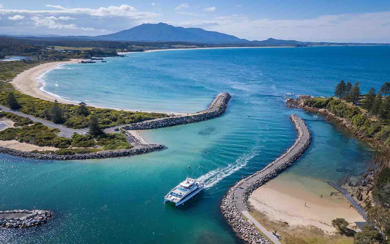 See whales on the Sapphire Coast
