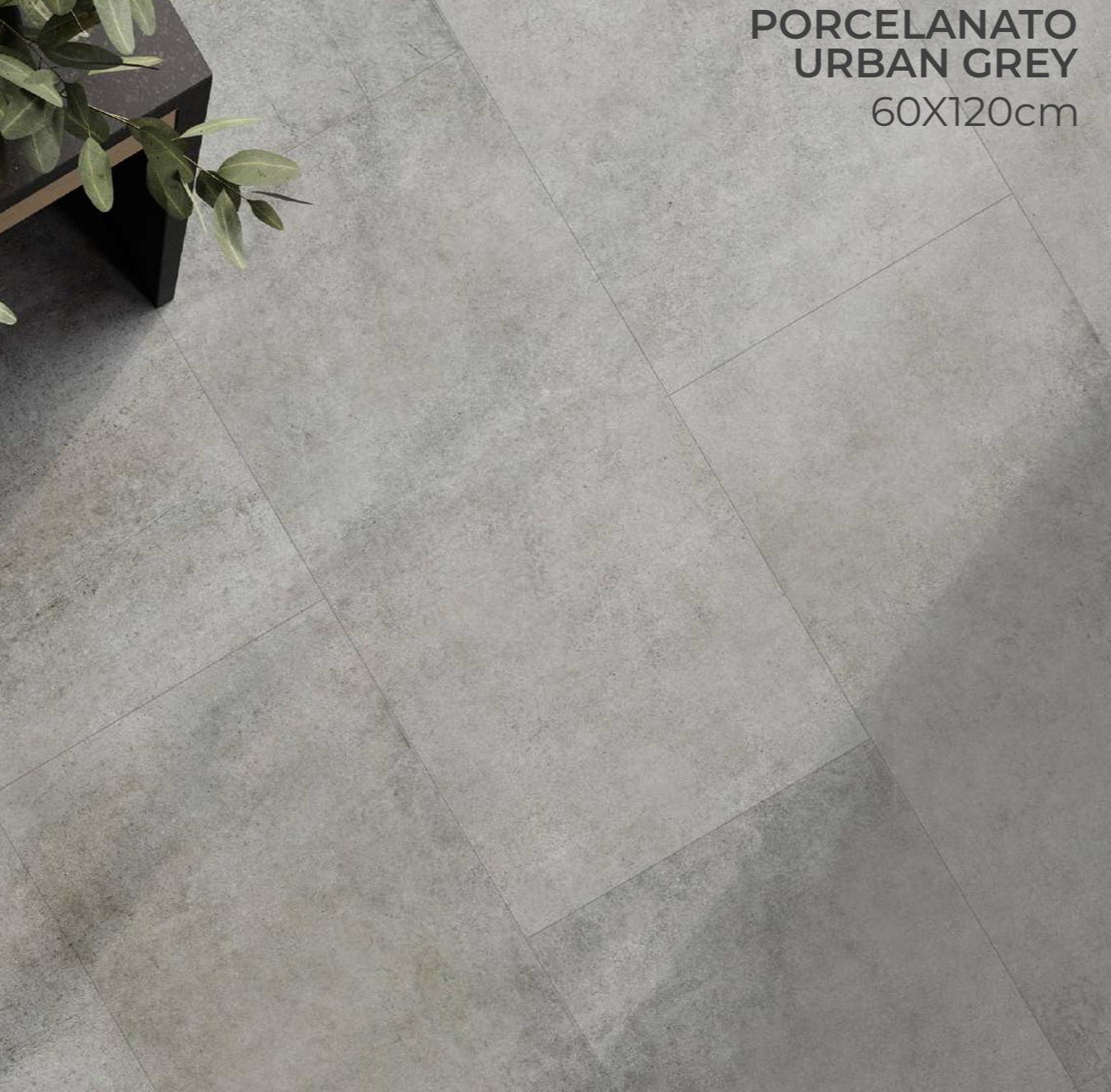 Urban Gray (24”x48”)